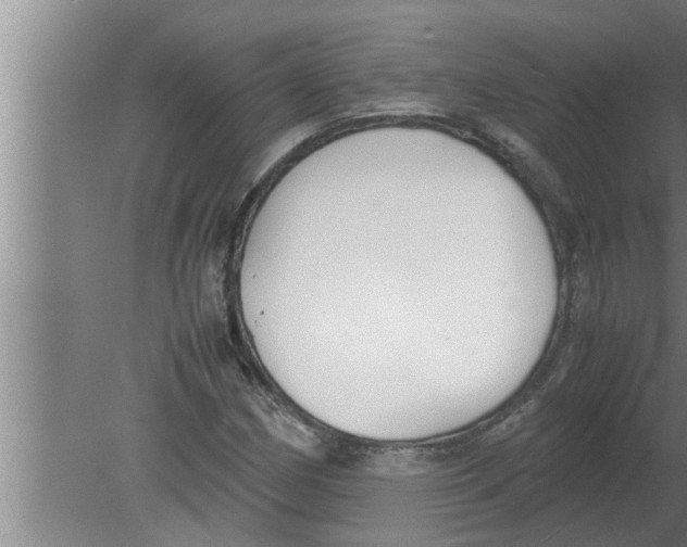 X0000080171162200612302212