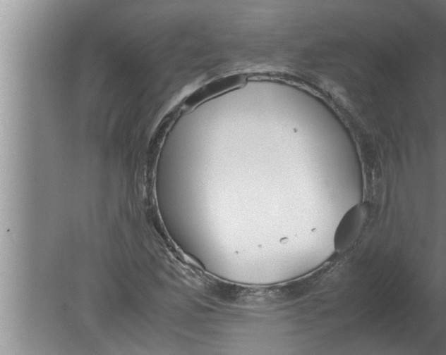 X0000080171165200612302212