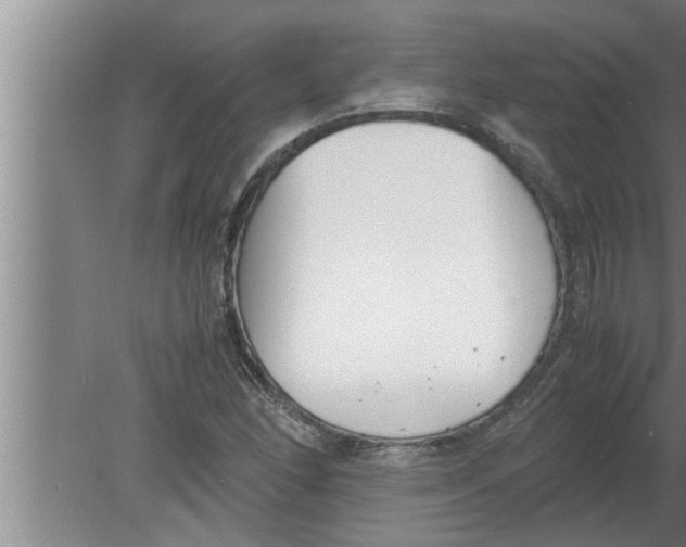 X0000080171166200612302212