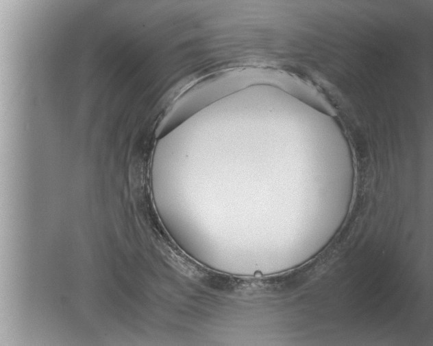 X0000080171169200612302212