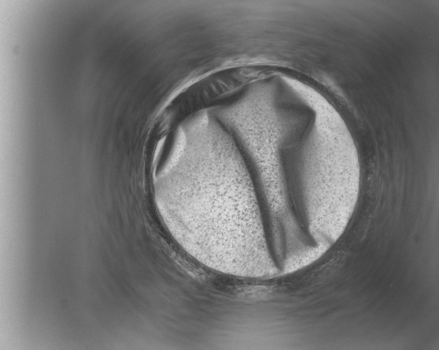 X0000080171173200612302211