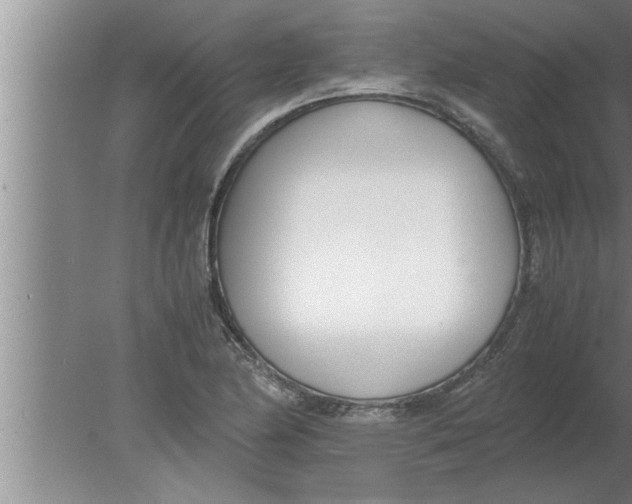 X0000080171174200612302211