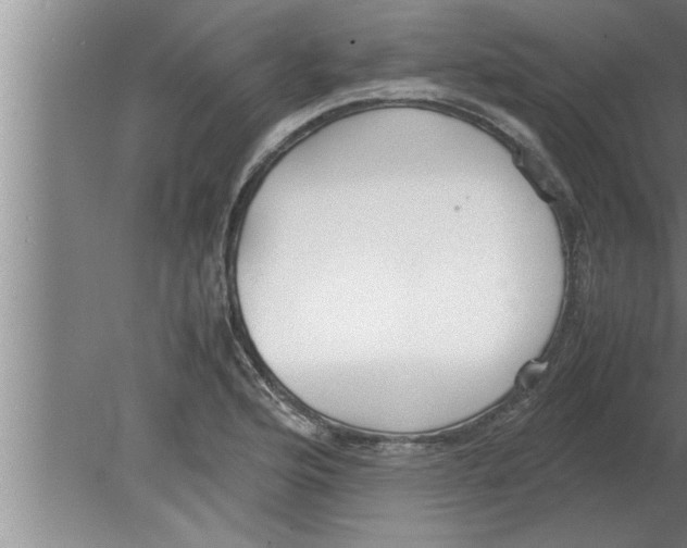 X0000080171176200612302211