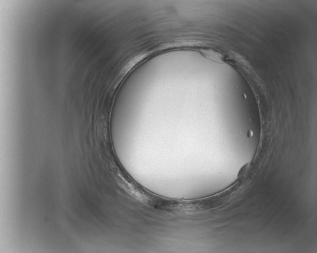 X0000080171177200612302211