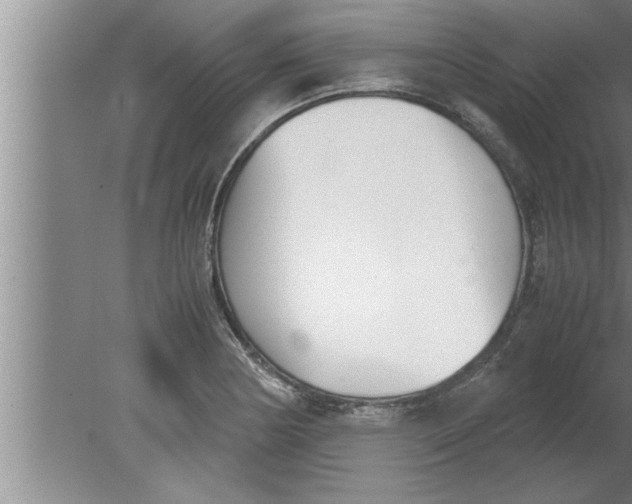 X0000080171178200612302211