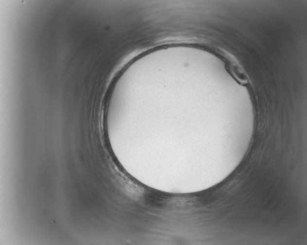 X0000080171179200612302211