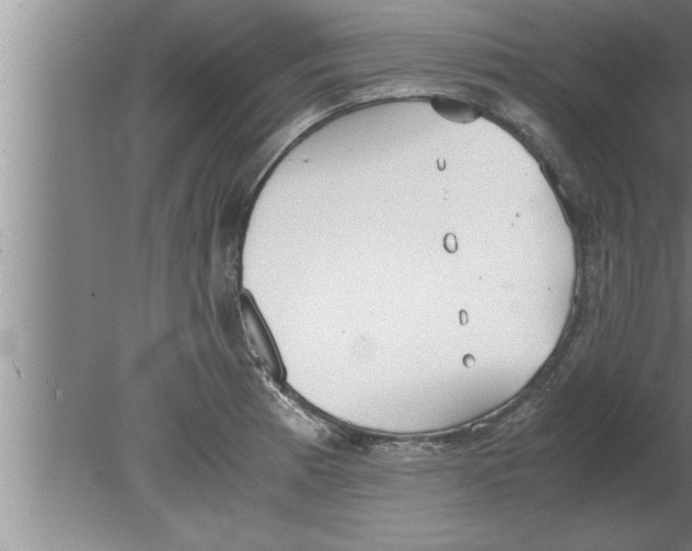 X0000080171185200612302211