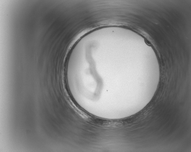 X0000080171187200612302211