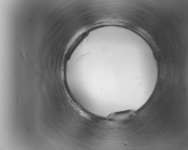 X0000080171188200612302211