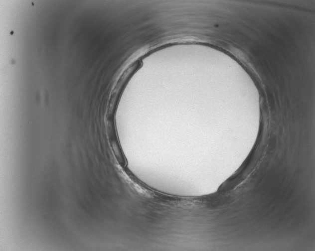 X0000080171189200612302211