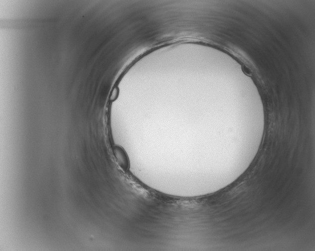 X0000080171190200612302211