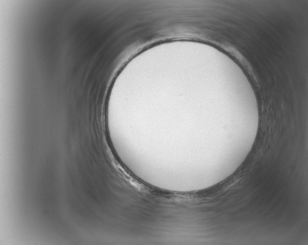 X0000080171191200612302211