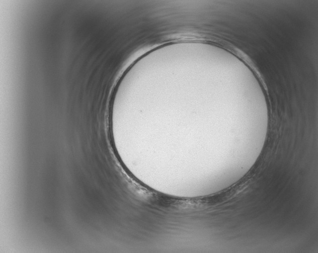 X0000080171195200612302211