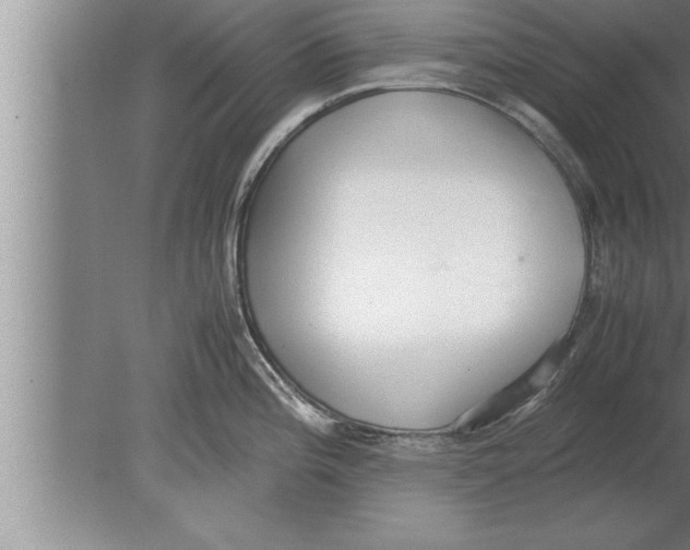 X0000080171196200612302211