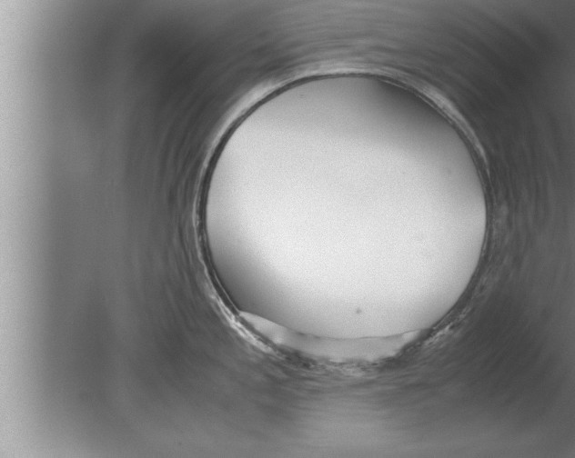 X0000080171197200612302211