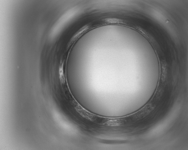 X0000080171198200612302211