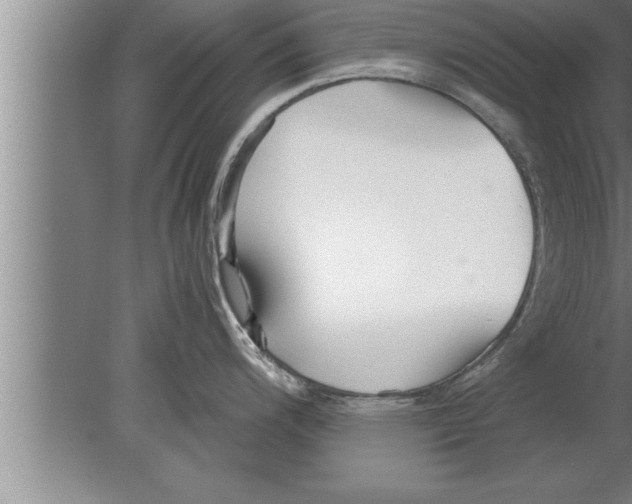 X0000080171200200612302211