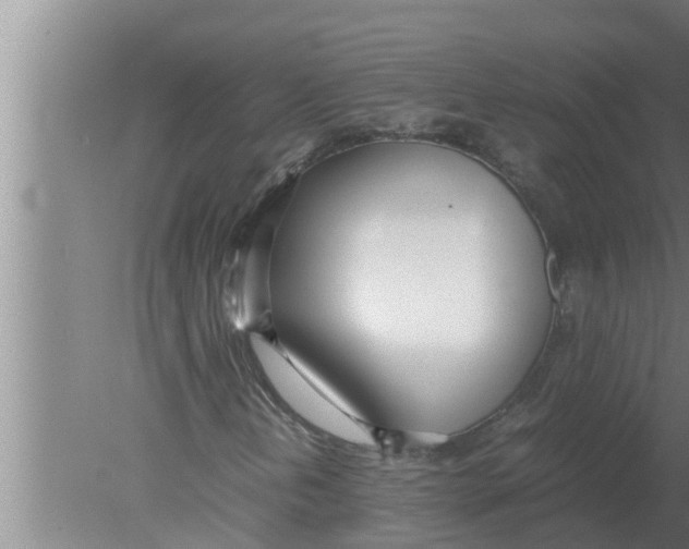 X0000080171202200612302210