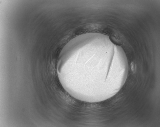 X0000080171203200612302210