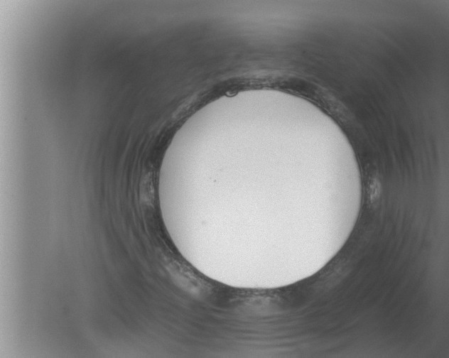 X0000080171204200612302210