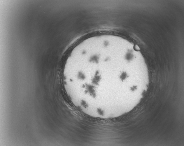 X0000080171208200612302210