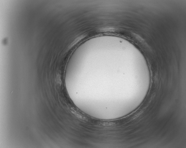 X0000080171209200612302210