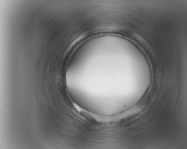 X0000080171210200612302210