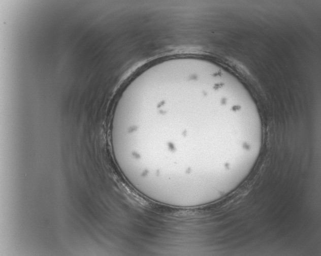 X0000080171212200612302210