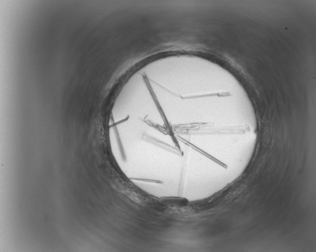 X0000080171215200612302210