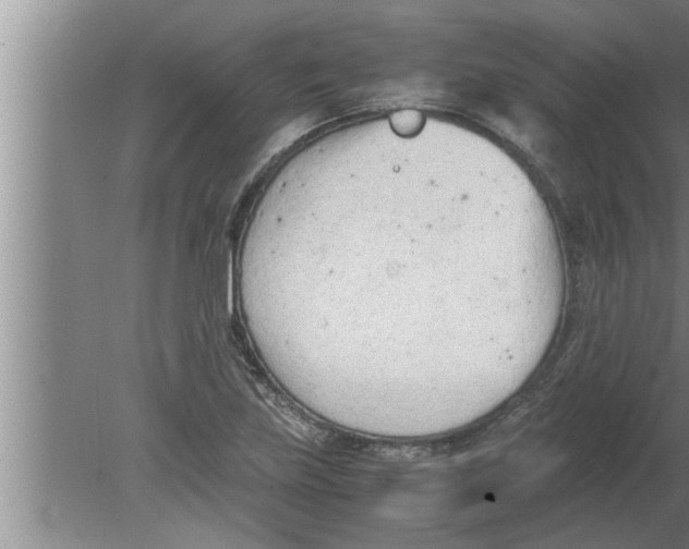 X0000080171219200612302211