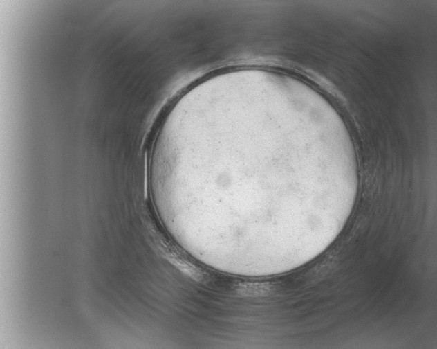 X0000080171223200612302211