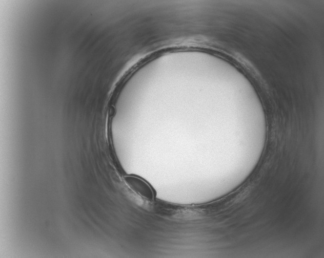 X0000080171224200612302211