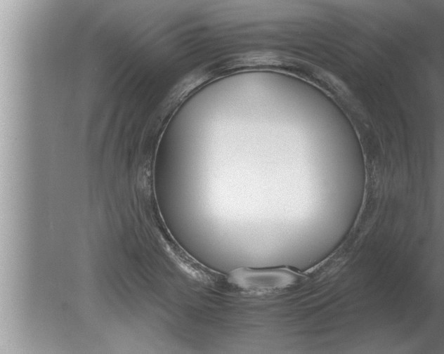 X0000080171225200612302211