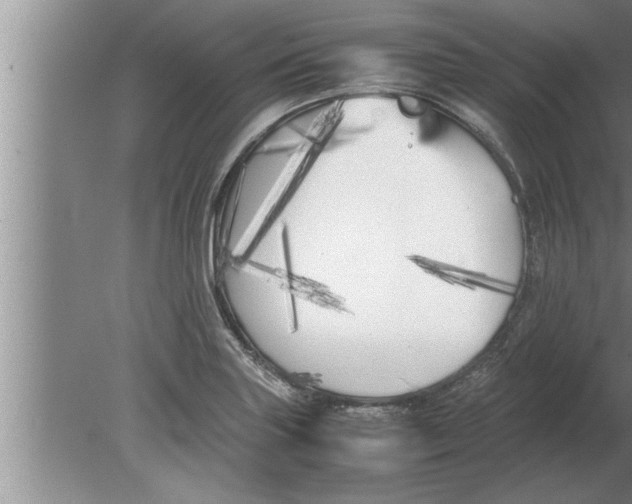 X0000080171227200612302211