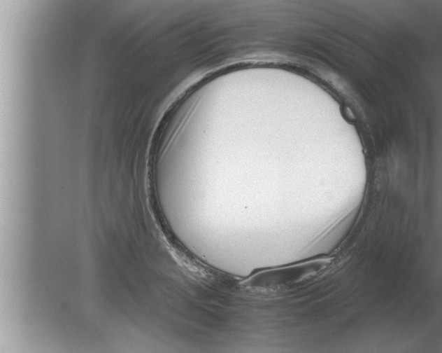 X0000080171229200612302211