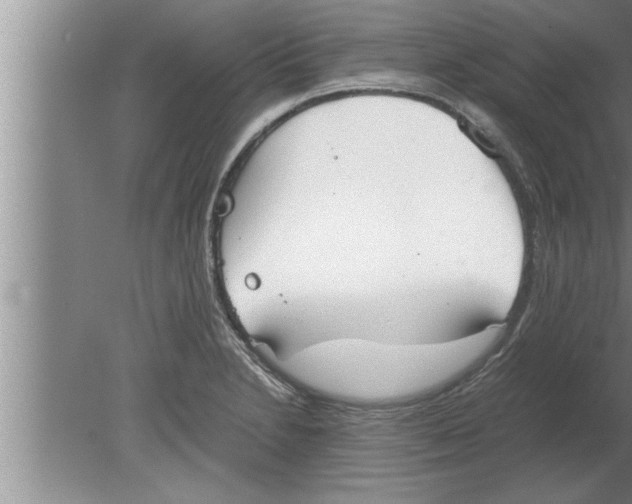 X0000080171230200612302211