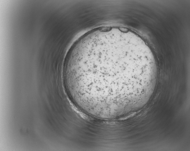 X0000080171231200612302211