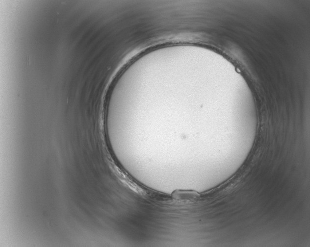 X0000080171232200612302211