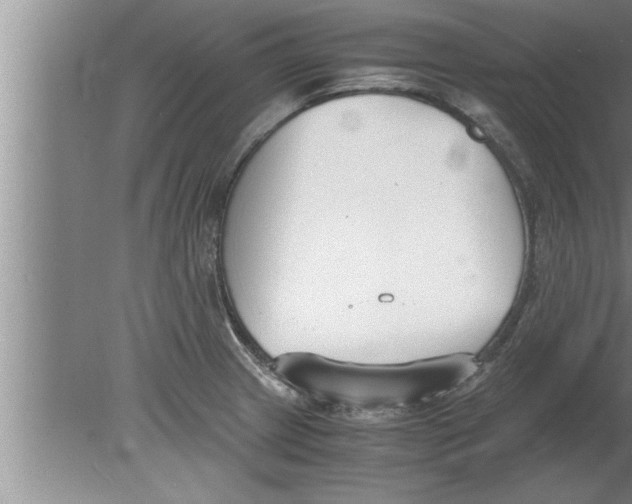 X0000080171233200612302211