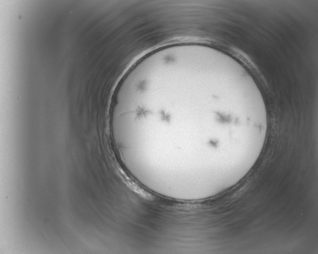 X0000080171236200612302211