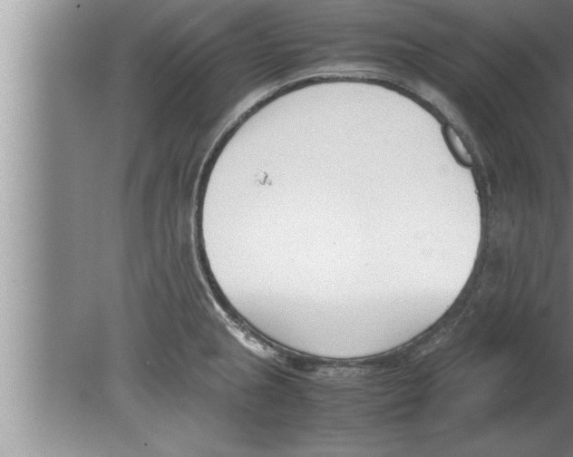 X0000080171237200612302211