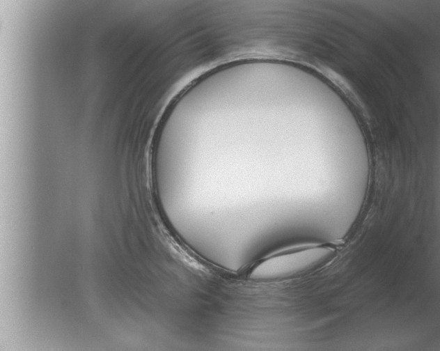 X0000080171238200612302211