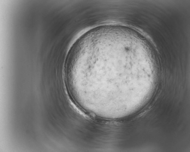 X0000080171239200612302211