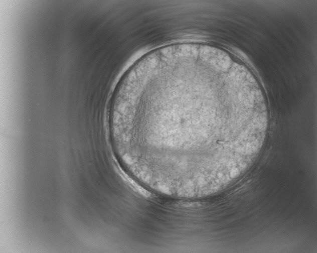 X0000080171243200612302211