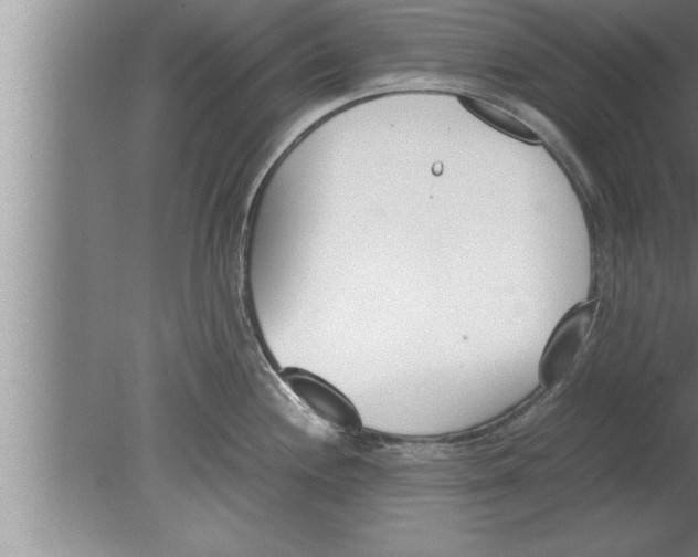 X0000080171244200612302211