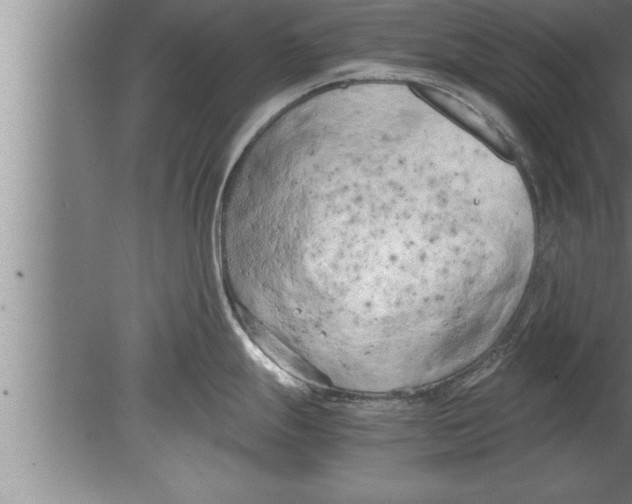 X0000080171247200612302211