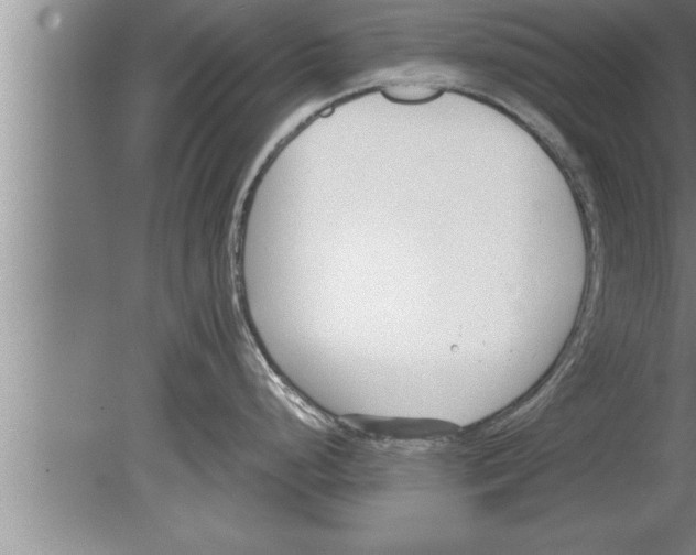 X0000080171248200612302211