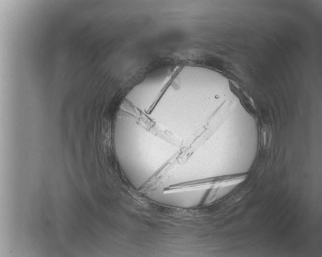 X0000080171251200612302210