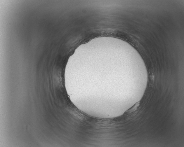 X0000080171252200612302210