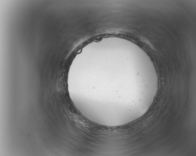 X0000080171256200612302210